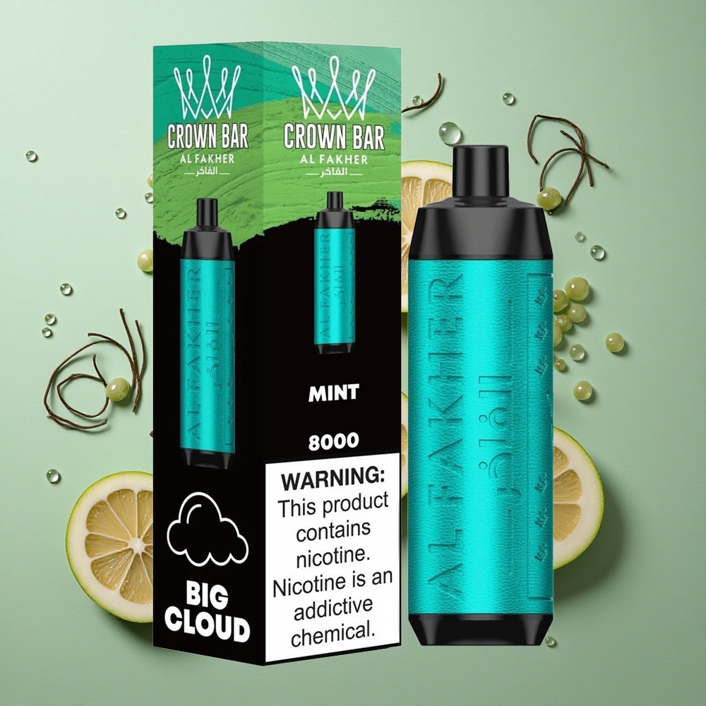 Munt Al Fakher Crown Bar 8000 Wegwerp Vape USB Type-C Oplaadkabel Compact En Slank Nederland groothandel
