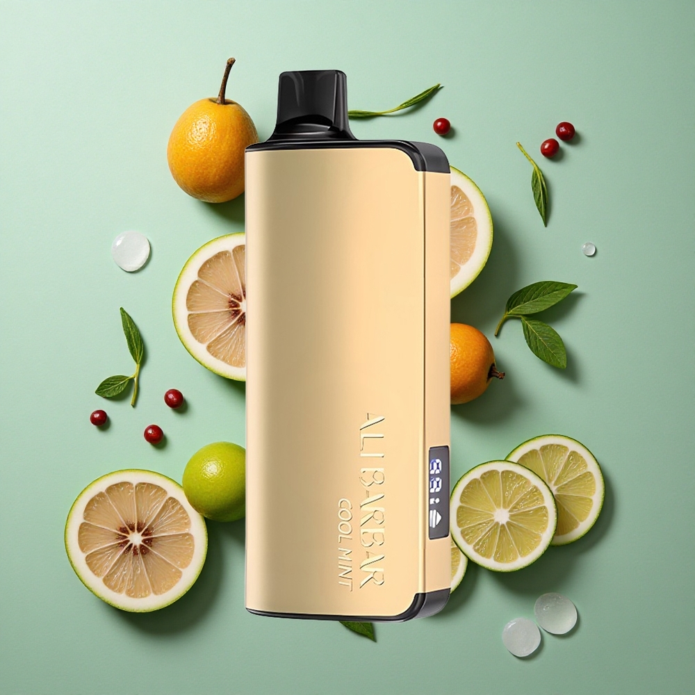 Koel Munt Alibarbar Ingot 9000 Puffs 22ml Vloeistofcapaciteit 2350mah Batterijcapaciteit Nederland groothandel