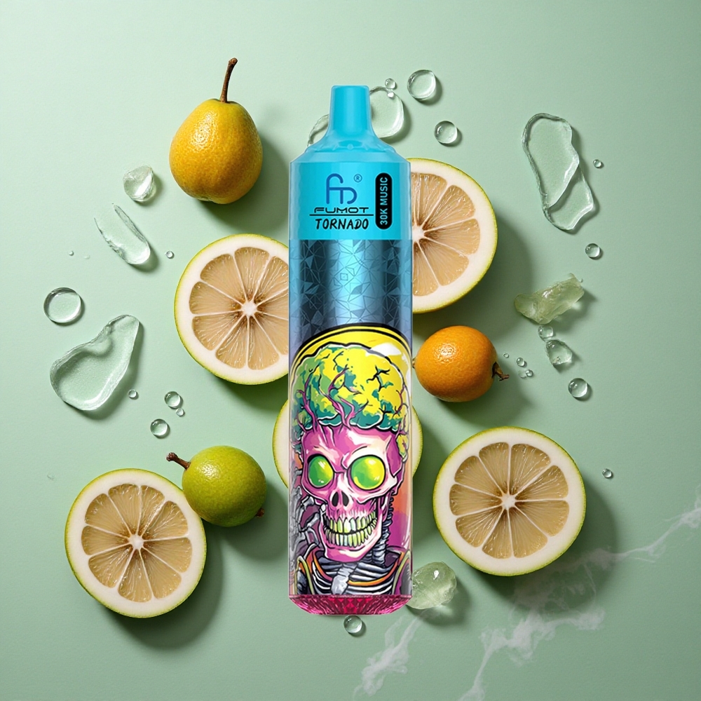 Munt IJs Fumot RandM Tornado 30000 Puffs 30mL Nederland groothandel