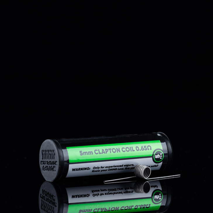 Wotofo Vape Review - Wotofo ID voorgebouwde spoel dubbele kern gesmolten clapton 0,65 ohm 5 mm 5 stuks DV0P347